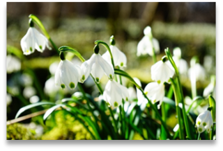 Thoughts and Prayers