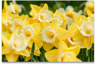 Thoughts and Prayers