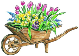 Mere Cottage Open Garden
