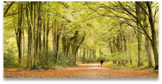 February Group Walk