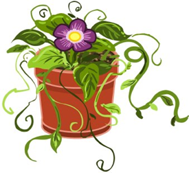 Plants, Pots, Cakes and Produce Sale