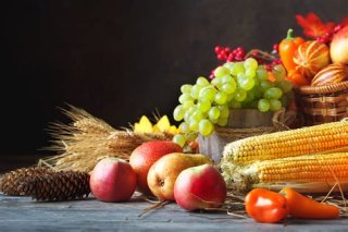 Trinity 14 | Harvest Festival (with thanksgiving for our companion animals)