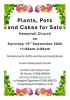 Plants, Pots and Cakes for Sale thumbnail