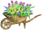 Mere Cottage Open Garden thumbnail